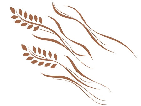 Rice of a beautiful curve のイラスト素材