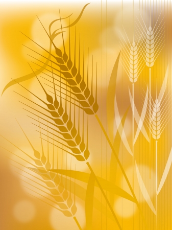 The illustration of wheatのイラスト素材