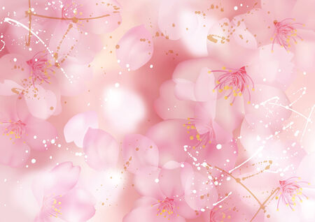 Illustration of beautiful cherry tree  sakura  の写真素材