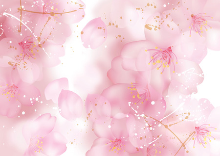 Illustration of beautiful cherry tree  sakura  の写真素材
