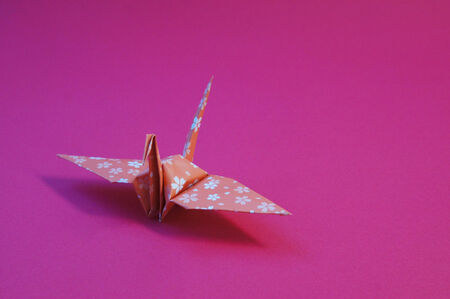 Japan \ &#39;s New Year craneの写真素材