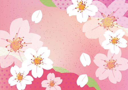 Illustration of beautiful cherry tree sakuraのイラスト素材