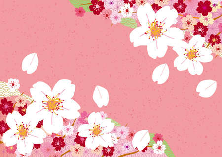 Illustration of beautiful cherry tree sakuraのイラスト素材