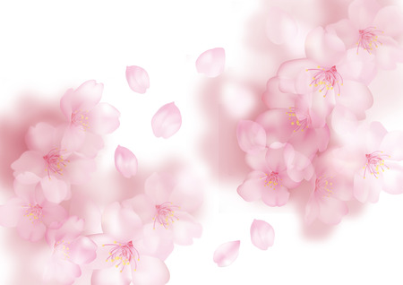 Illustration of a beautiful cherry treeの写真素材