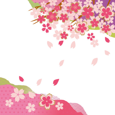 Beautiful cherry blossoms of Japanのイラスト素材