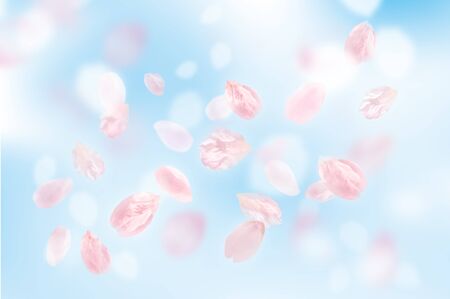 Beautiful cherry landscapeの写真素材