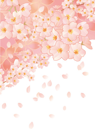 Beautiful Japanese cherry treeのイラスト素材