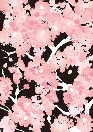 Many cherry blossoms illustrationのイラスト素材