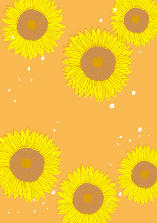 A beautiful illustration of sunflowerのイラスト素材