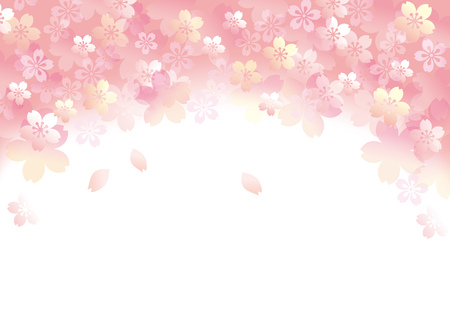 It is a beautiful cherry tree in Japanのイラスト素材