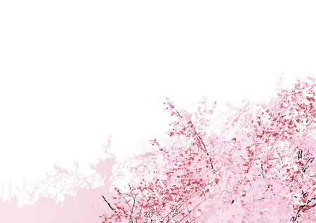 It is a beautiful sakura flower tree with white sky in the backgroundのイラスト素材