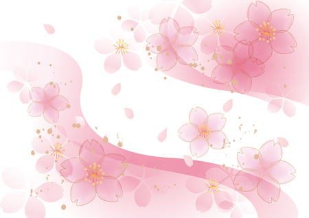 Beautiful sakura flowers in Japan background.のイラスト素材