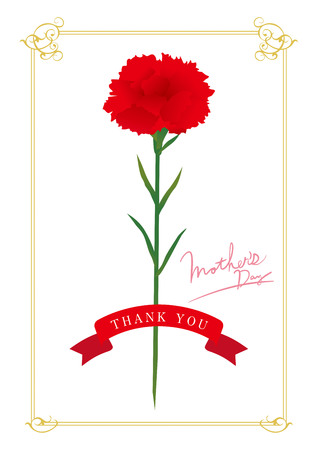 Carnation flower for Mother's Day Card illustration.のイラスト素材