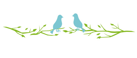 Cute illustrations of tree birds on white background.のイラスト素材