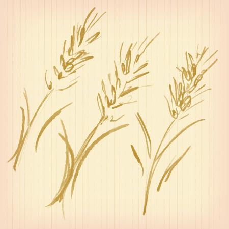 Wheat illustration setのイラスト素材