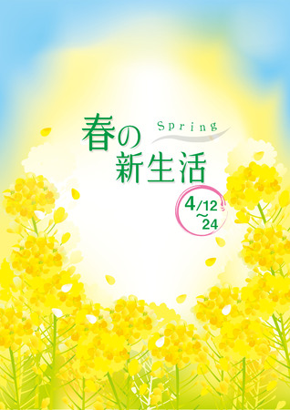 A beautiful rape flower illustrationのイラスト素材