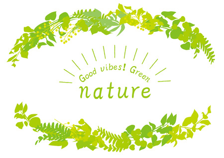 Fresh green in the lightのイラスト素材