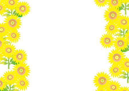 Cheerful summer sunflower background illustrationのイラスト素材