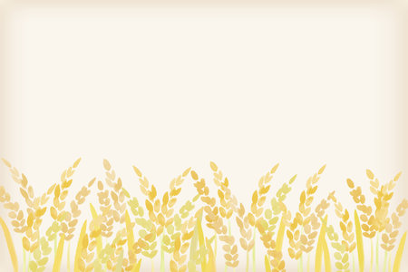 Rice landscape illustration of riceのイラスト素材