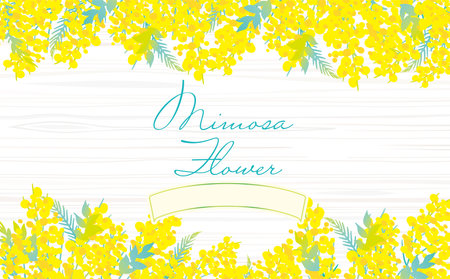 Cute Fashionable Mimosa Background Clip Artsのイラスト素材