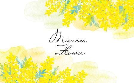 Cute Fashionable Mimosa Background Clip Artsのイラスト素材