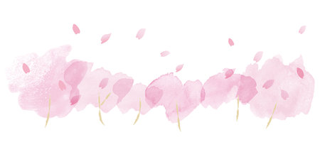Pink beautiful cherry blossom background illustrationのイラスト素材