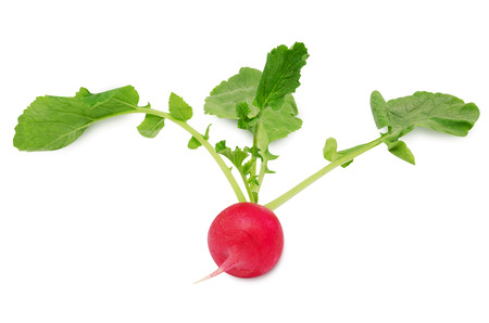 Fresh radish with leaves isolated on white backgroundの写真素材