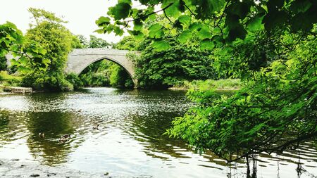 Medieval bridge over river donの素材