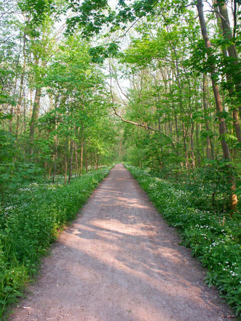 Path