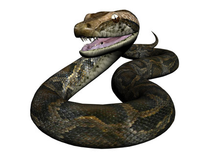 3D Illustration of a python
