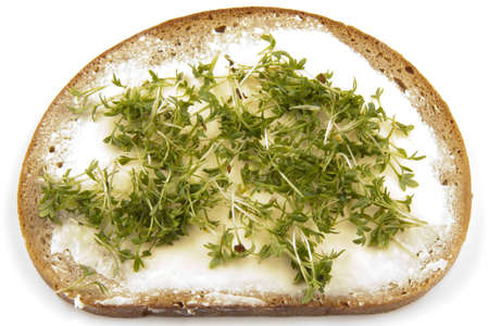 Bread with butter and cressの写真素材