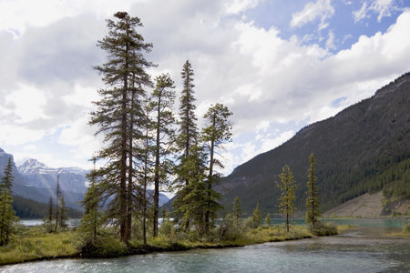 scenery like spirit island ? upper waterfowl lake, banff national park, canada 