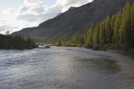 mistaya river in the canadian rockies - banff national park, canada - 