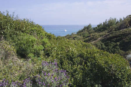 lonely yacht - mediterranean flora の写真素材