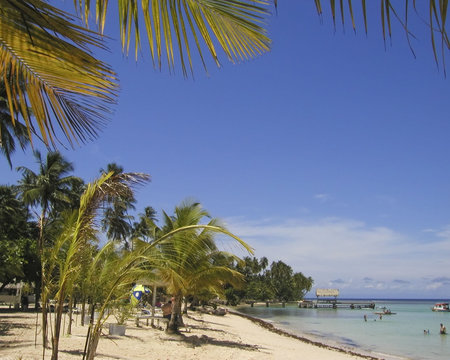tropical beach - pigeon point, tobago, west indies