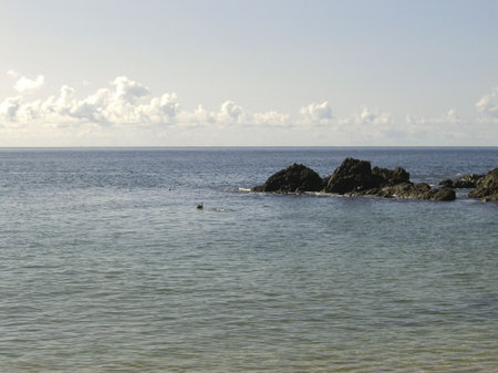 cliffs in the ocean - tobago, west indies
