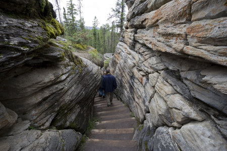 hikers walking downstairs in the dry riverbed of athabasca river - rock formation in jasper national...