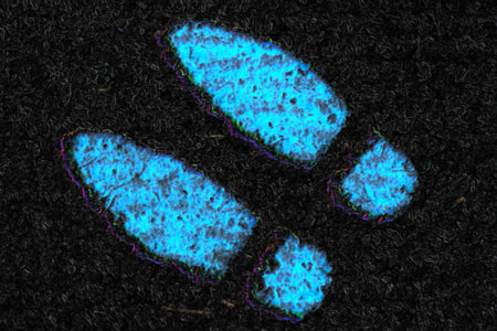 footprints - shoe prints of a suspect - adobe RGBの写真素材