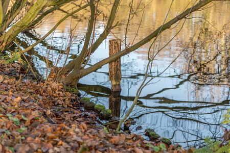 autumn scene with red yellow brown and orange colors the change of seasons with reflections of the branches and the sky in the waterの写真素材