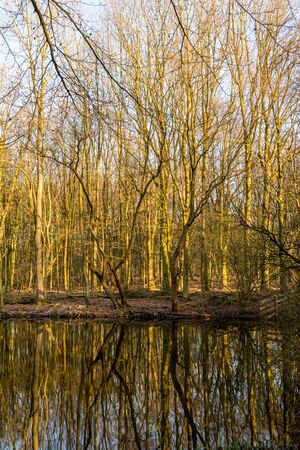 autumn scene with red yellow brown and orange colors the change of seasons with reflections of the branches and the sky in the waterの写真素材