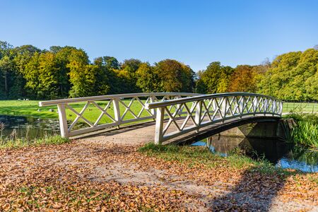 autumn scene with red yellow brown and orange colors the change of seasons outside in the sceneryの写真素材