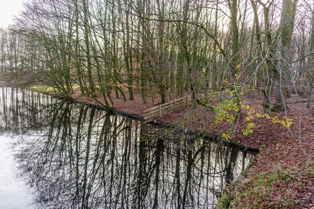 autumn scene with red yellow brown and orange colors the change of seasons with reflections of the branches and the sky in the waterの写真素材