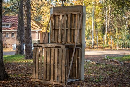 giant pallet chair in the woodland build of euro-palletsの写真素材