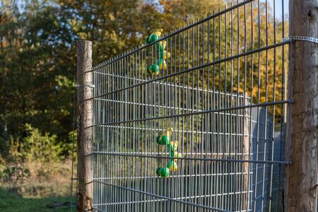green and yellow toy caterpillar climbing a metal gateの写真素材