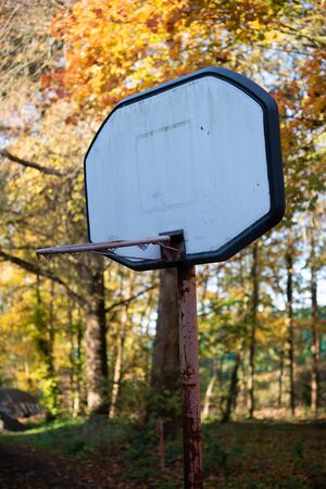 worn out basketball hoop in the woodland against leafs and blue sky backgroundの写真素材