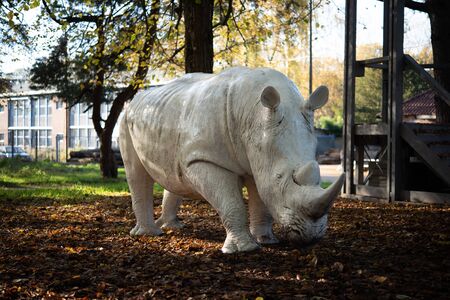 Statue off a white rhino or rhinoceros in the woodlandの写真素材