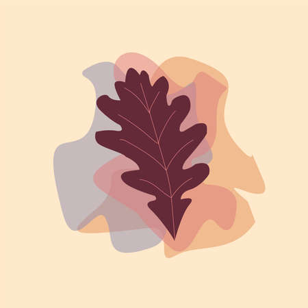 The leaf of the Oak plant from tropical forests are isolated against a fall background. Can be used for greeting cards, flyers, invitations, web design, and everythingのイラスト素材