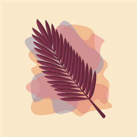 The leaf of the Palm plant from tropical forests are isolated against a fall background. Can be used for greeting cards, flyers, invitations, web design, and everythingのイラスト素材