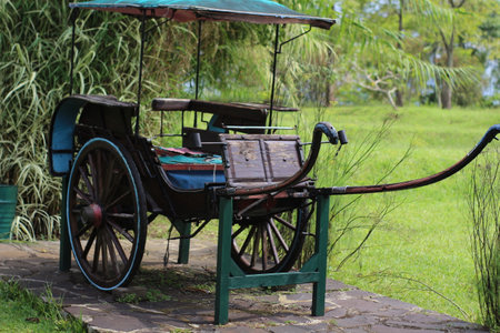 Delman is traditional transportation from Indonesia that uses carriages and horses as its propulsionの写真素材