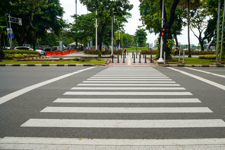 Zebra crossing on the road in the city park, Thailand.